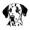 Dalmatiër - Afbeelding 2