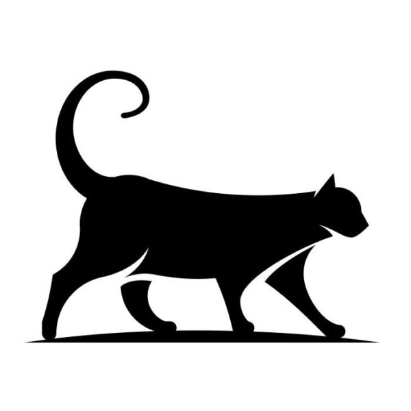 Muursticker kat