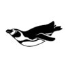 Pinguïn - Afbeelding 2